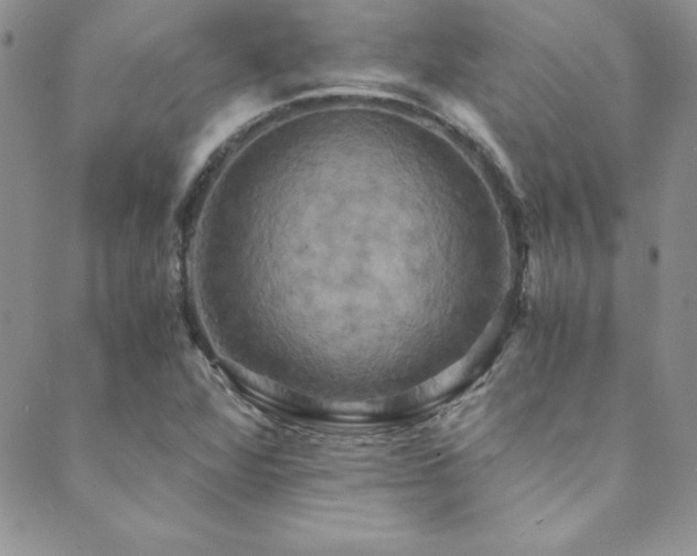 X0000089731360200706211423