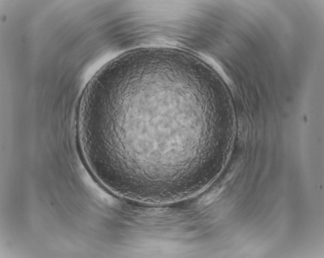 X0000089731387200706211423