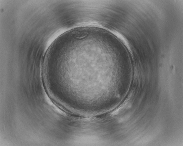 X0000089731390200706211423