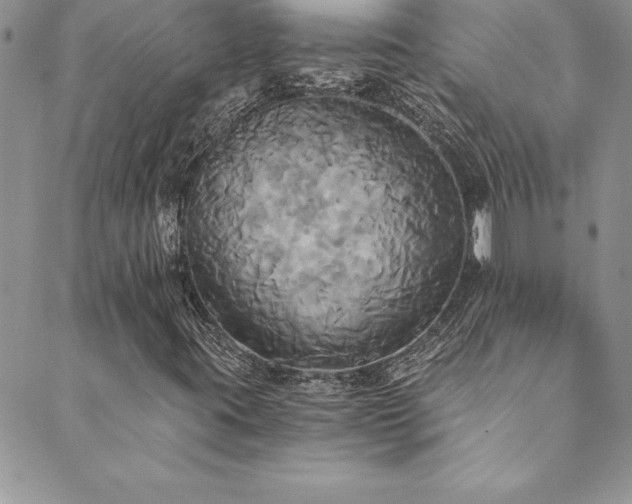 X0000089731395200706211422