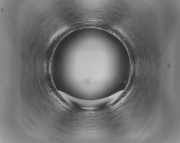 X0000089731402200706211422