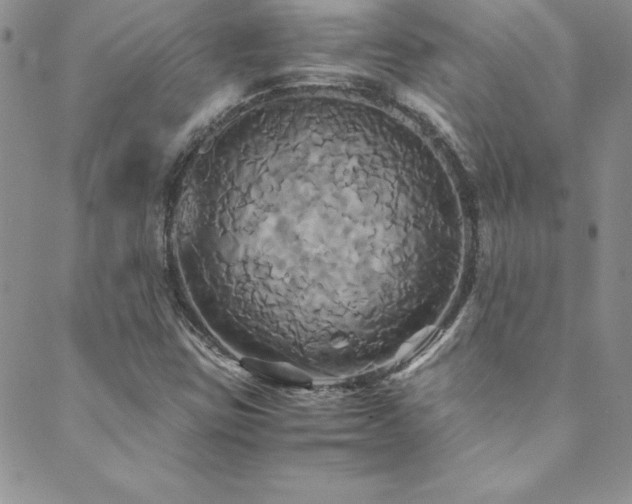 X0000089731403200706211422