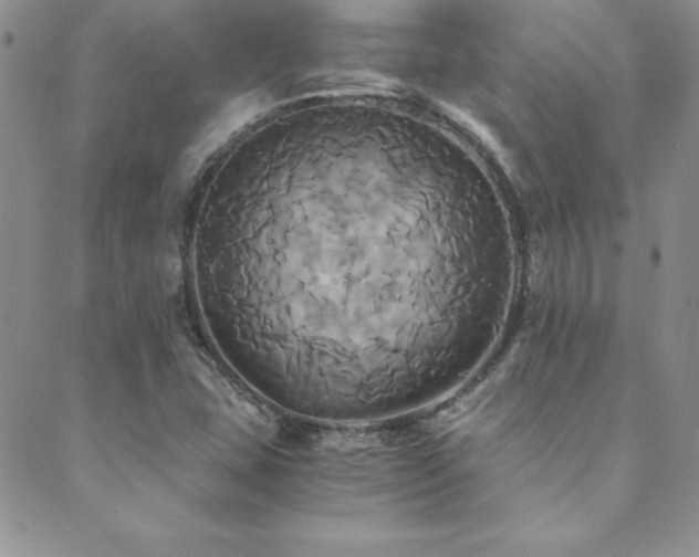 X0000089731407200706211422