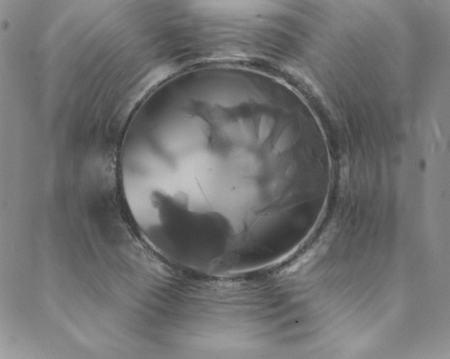 X0000089731409200706211422
