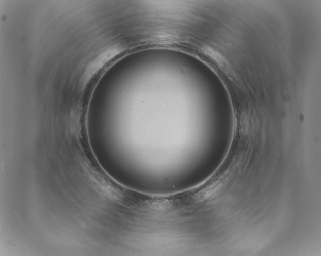 X0000089731410200706211422