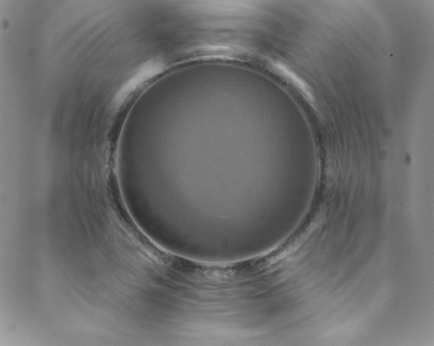 X0000089731411200706211422