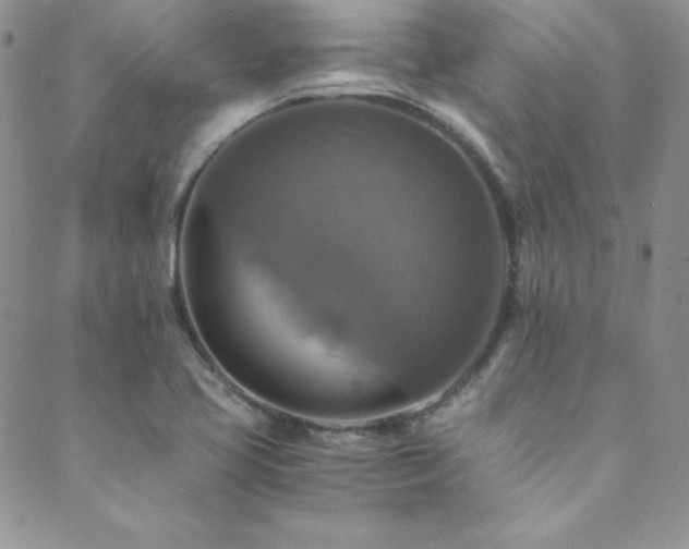 X0000089731413200706211422