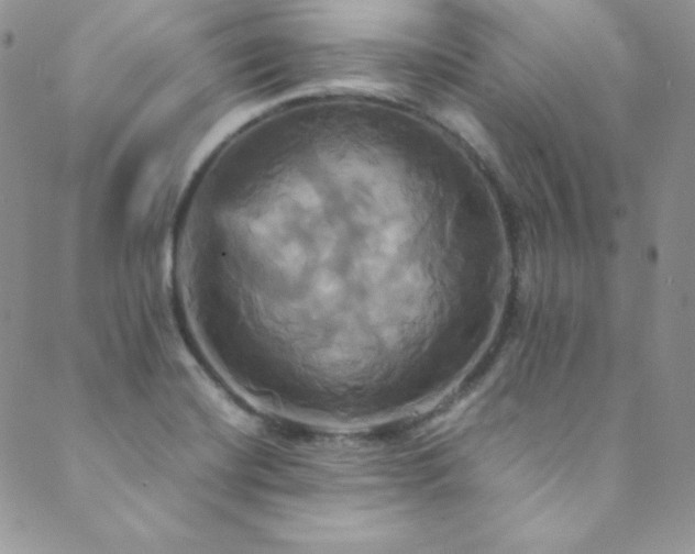 X0000089731420200706211422