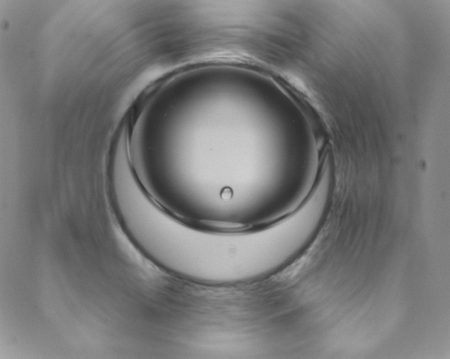 X0000089731422200706211422