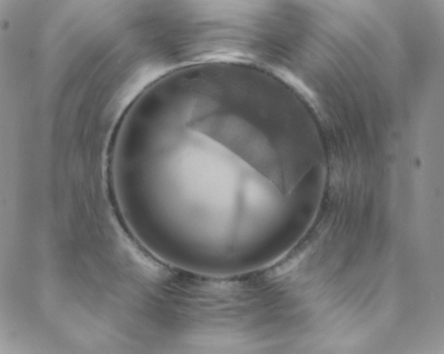 X0000089731423200706211422