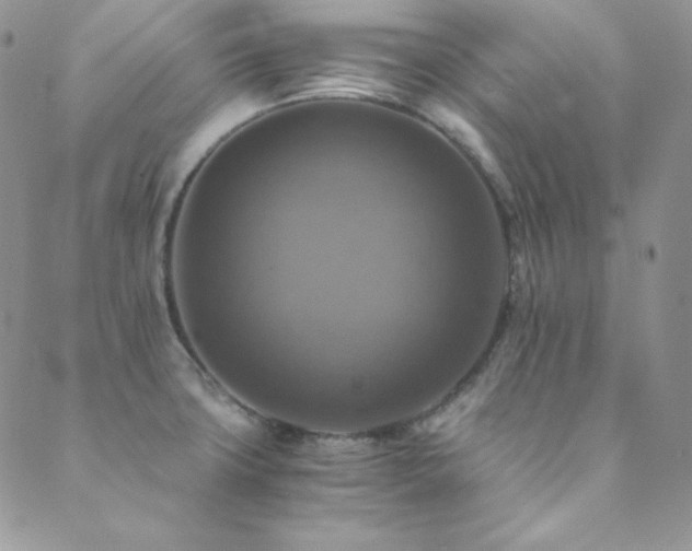 X0000089731427200706211422