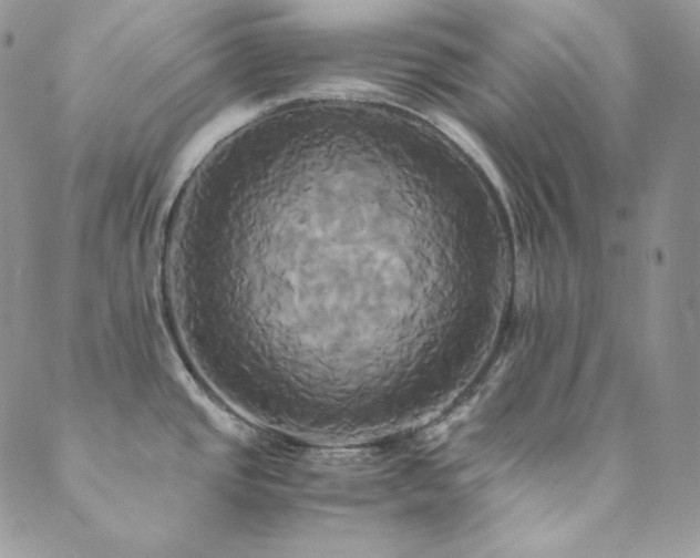 X0000089731437200706211422
