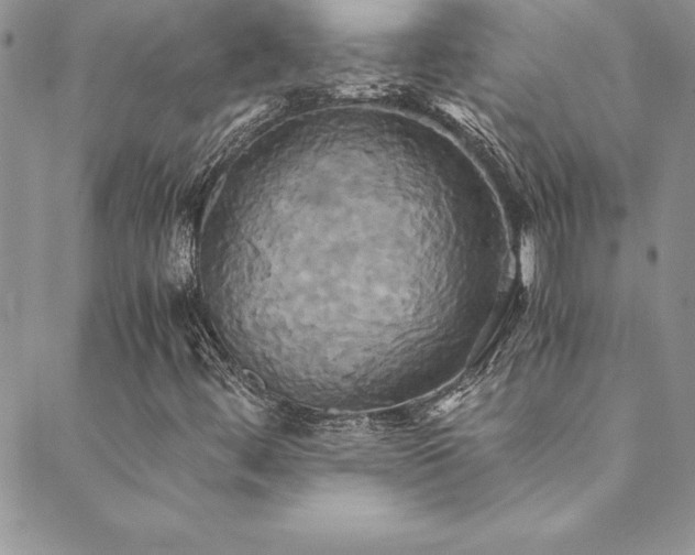 X0000089731444200706211422