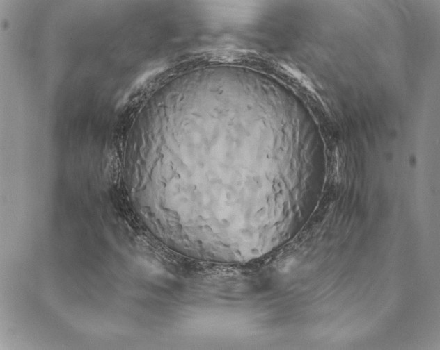 X0000089731446200706211422