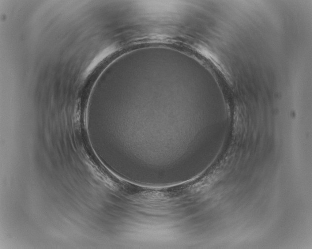 X0000089731450200706211422