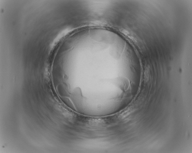 X0000089731454200706211422