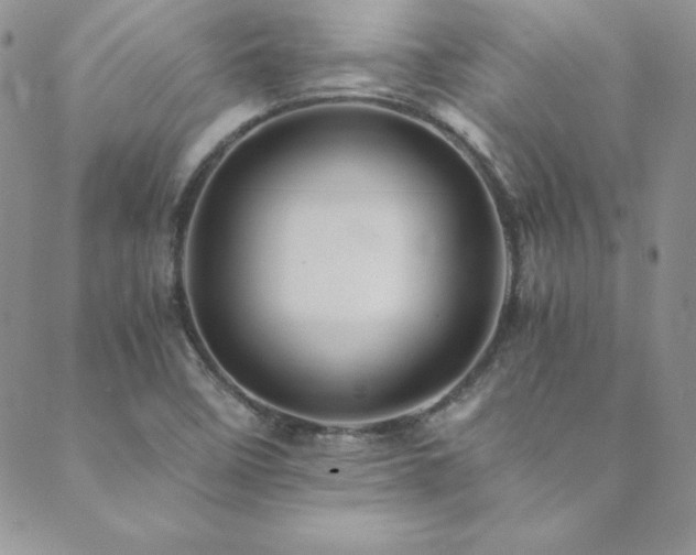 X0000089731458200706211421