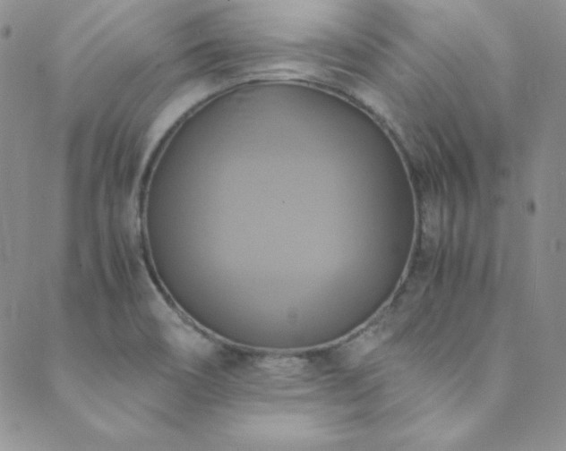 X0000089731466200706211421