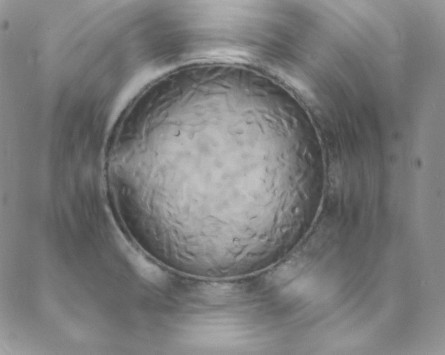 X0000089731470200706211421