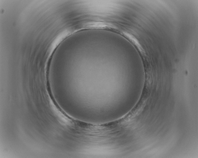 X0000089731475200706211421