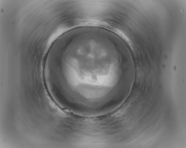 X0000089731480200706211421