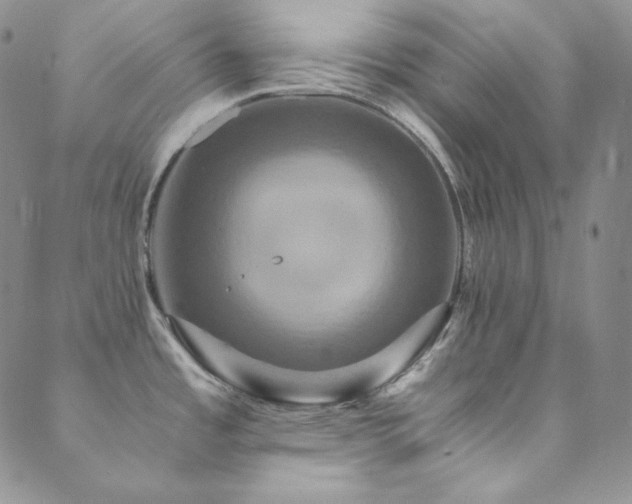 X0000089731485200706211421