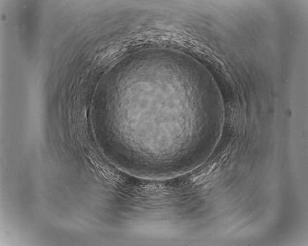 X0000089731489200706211420
