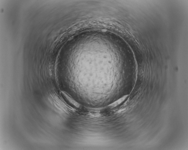 X0000089731490200706211420