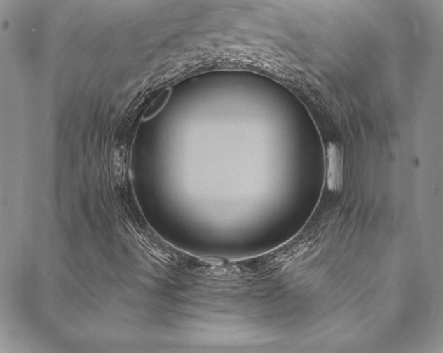 X0000089731491200706211420