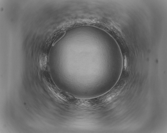 X0000089731492200706211420