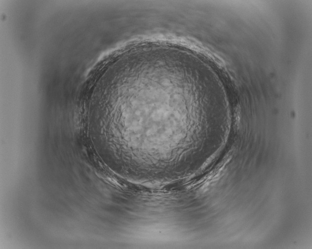 X0000089731494200706211420
