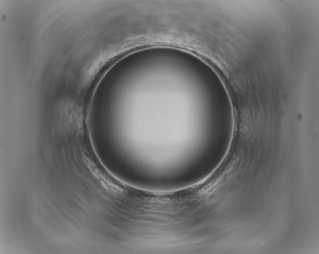 X0000089731499200706211420