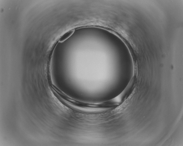 X0000089731500200706211420