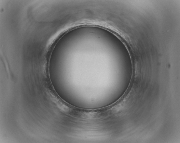 X0000089731502200706211420