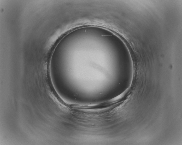 X0000089731503200706211420