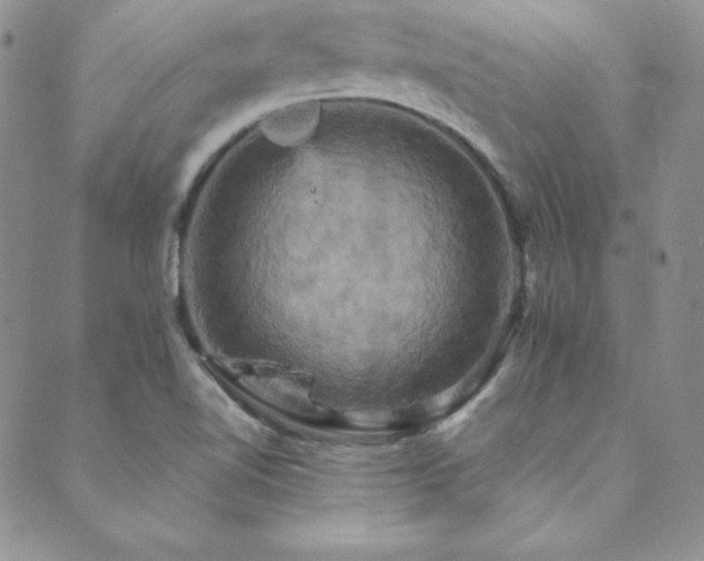 X0000089731510200706211421