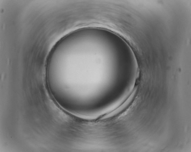 X0000089731518200706211421