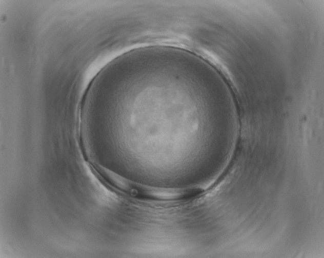 X0000089731520200706211421