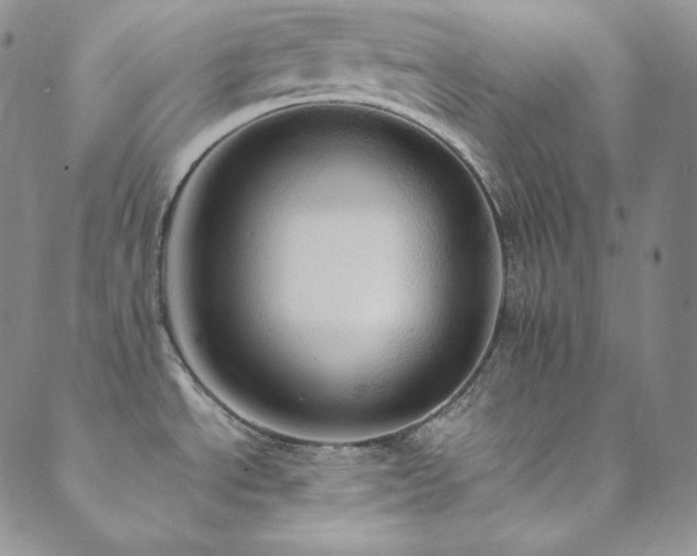 X0000089731534200706211421