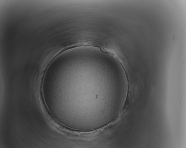 X0000089730001200706281557