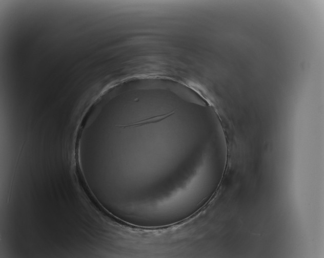 X0000089730002200706281557