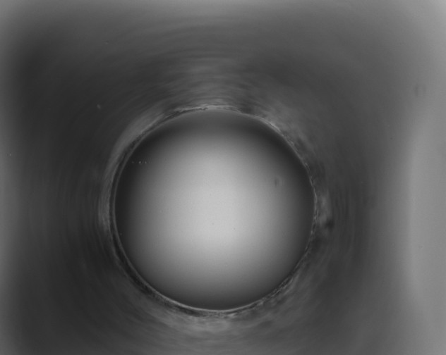X0000089730004200706281557