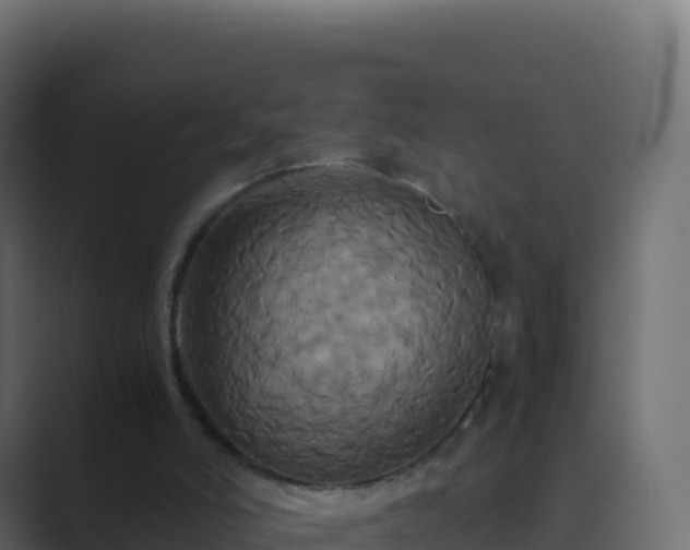 X0000089730006200706281557