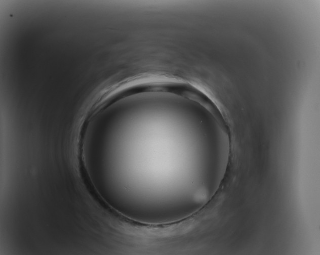 X0000089730007200706281557