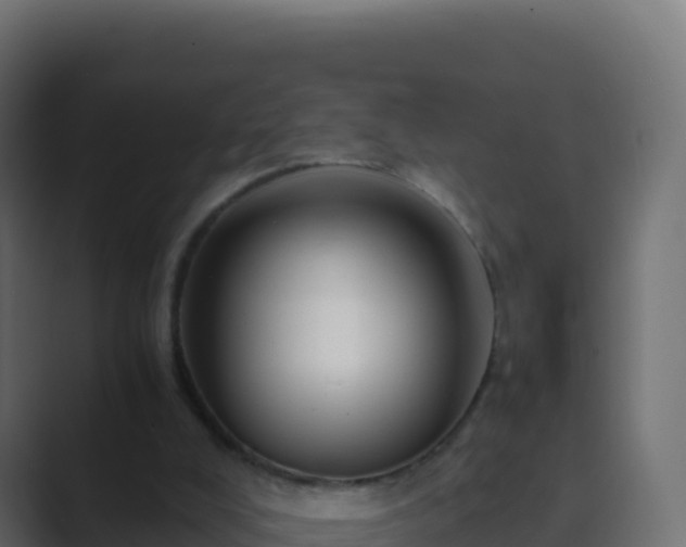 X0000089730008200706281557