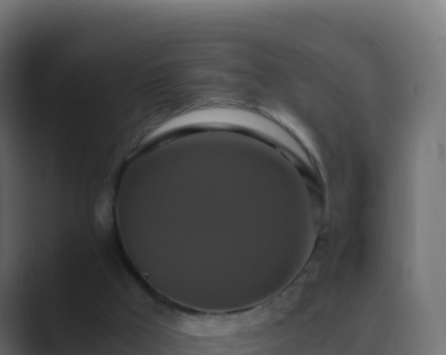 X0000089730009200706281557