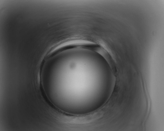 X0000089730011200706281557