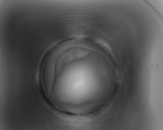 X0000089730012200706281557