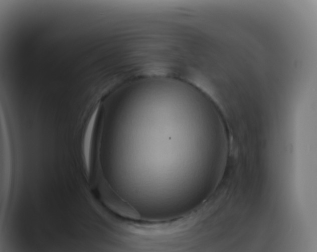 X0000089730013200706281557