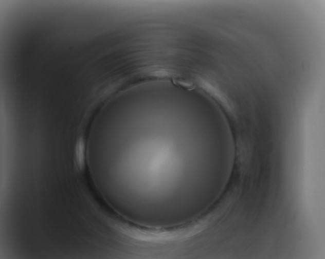 X0000089730014200706281557